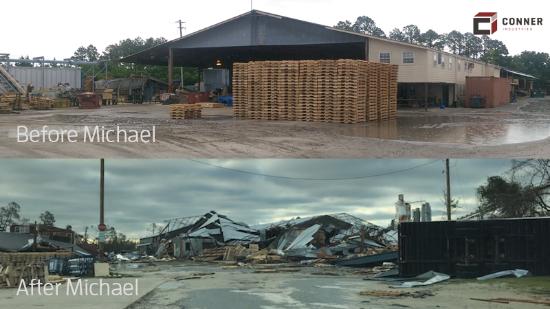 Panama City plant before and after Michael