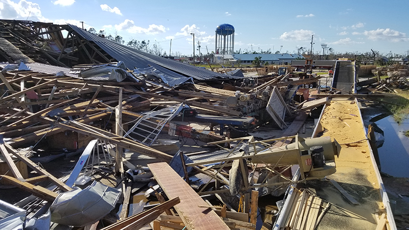 hurricane michael devastation panama city plant