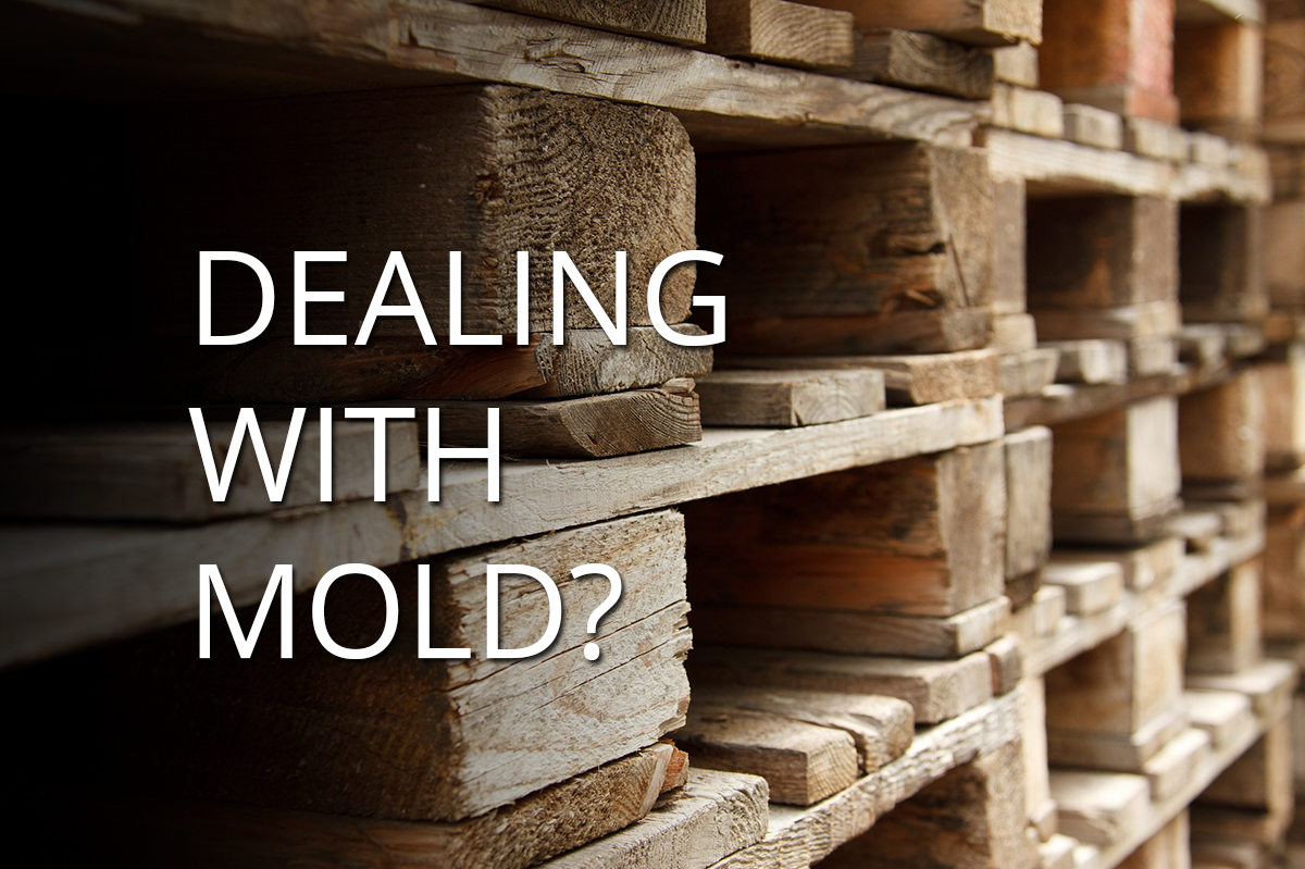 Pallet Mold: Discover How to Prevent, Inhibit and Remediate Mold on Wood Pallets