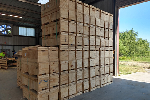 crates and pallets