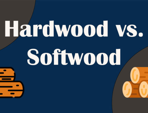 Hardwood vs. Softwood: Do You Know the Differences?